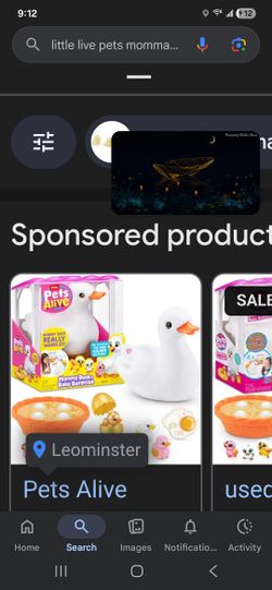 Mama Duck And Babies