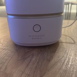 Humidifier/Essential Oil Diffuser 