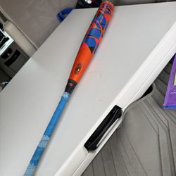 Louisville Slugger Baseball Bat 31”