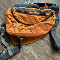 Dog Backpack
