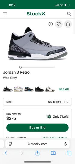 Air Jordan 3 Wolf Grey Size 11 DS