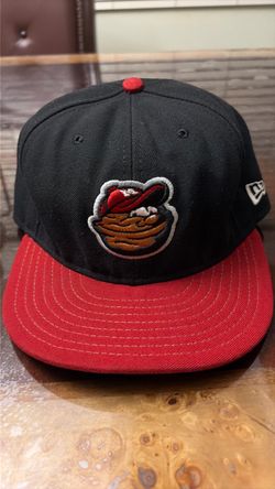 Modesto Nuts minor league baseball team fitted hat