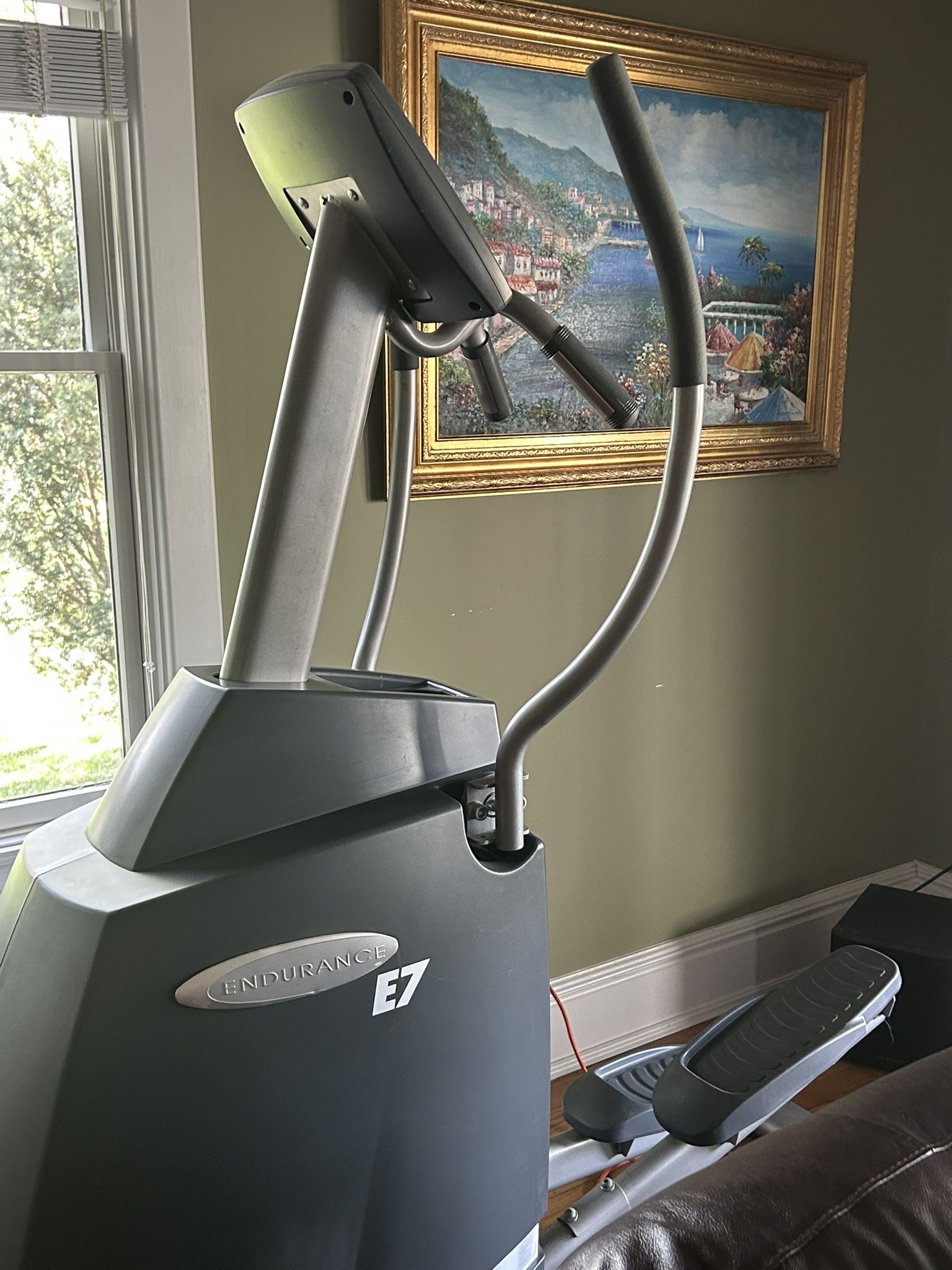 Elliptical Endurance E7