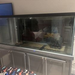 180 Gallon Fish Tank 