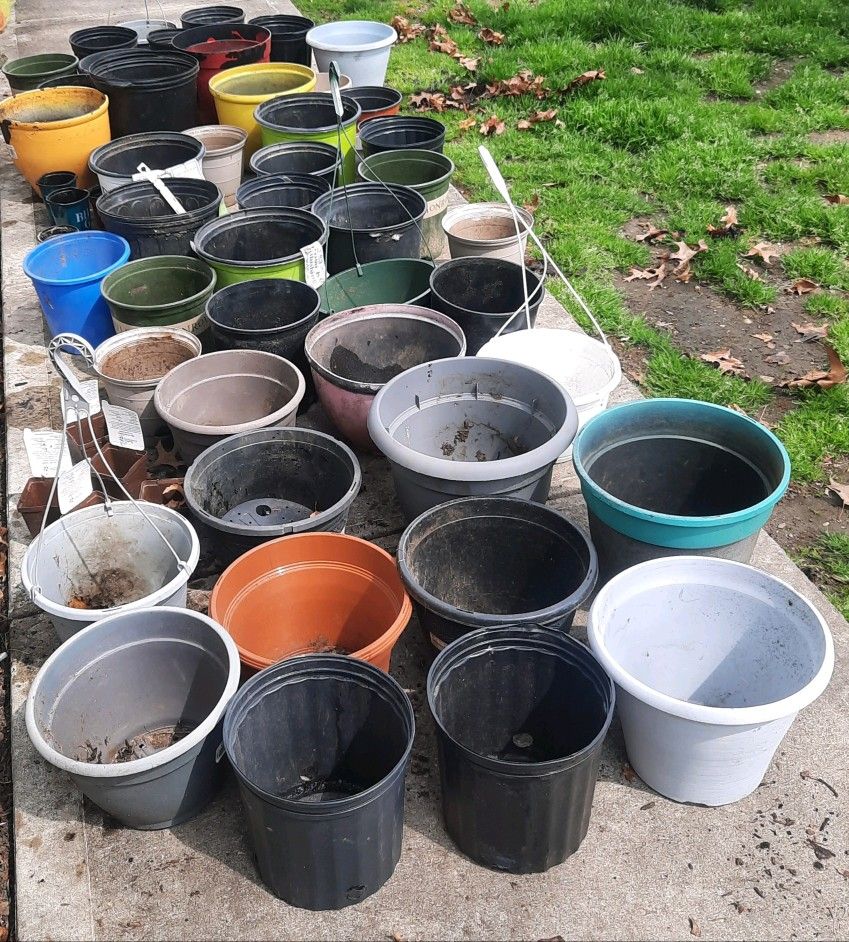 100+ Plastic Planting Pots