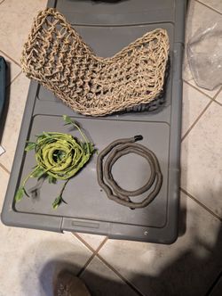 New Reptile Supplies For Tank