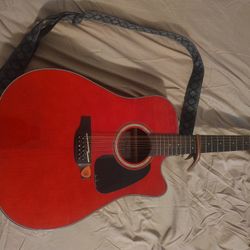 Takamine Gd30 