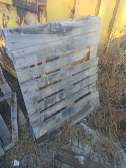 30 pallets for free Pauma val