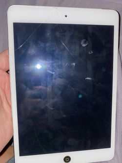 iPad mini