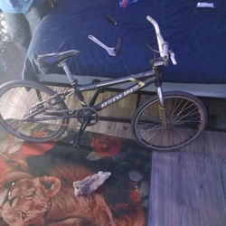 Redline Proline Expert Le Vintage 2003 2004