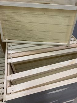 Bee nuc for honey production