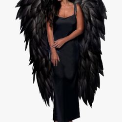 Angel Wings Adult Costume