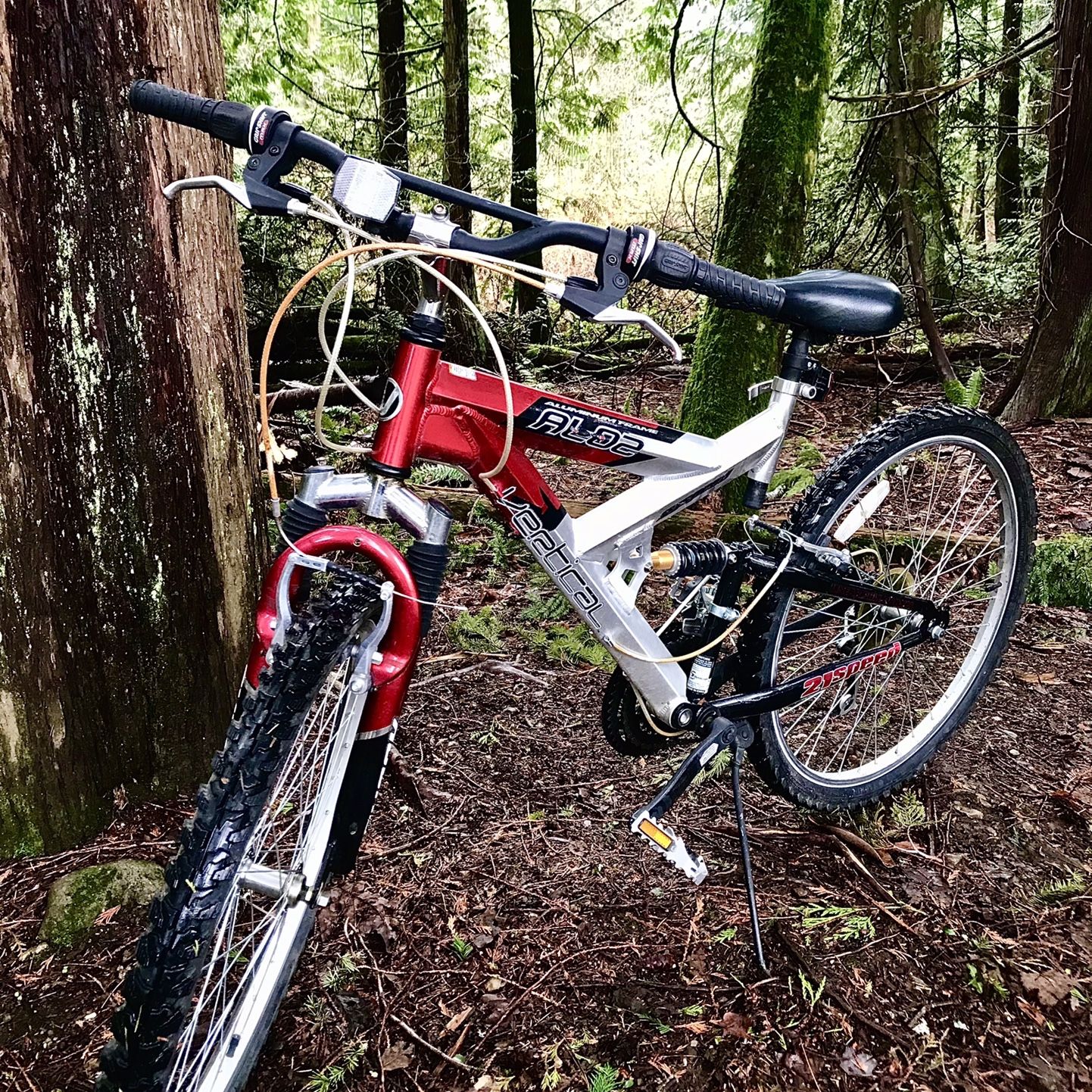 Vertical 21 Speed Mountain Bike for Sale in Issaquah, WA - OfferUp