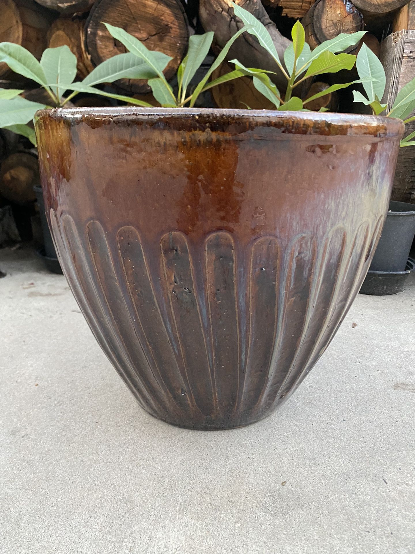 Brown Ceramic Pot