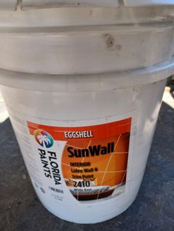 5 Gallons Interior Eggshells Beige Paint 