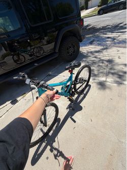 Mountain Bike