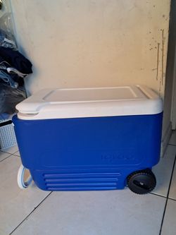 Cooler