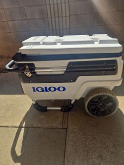 Igloo cooler