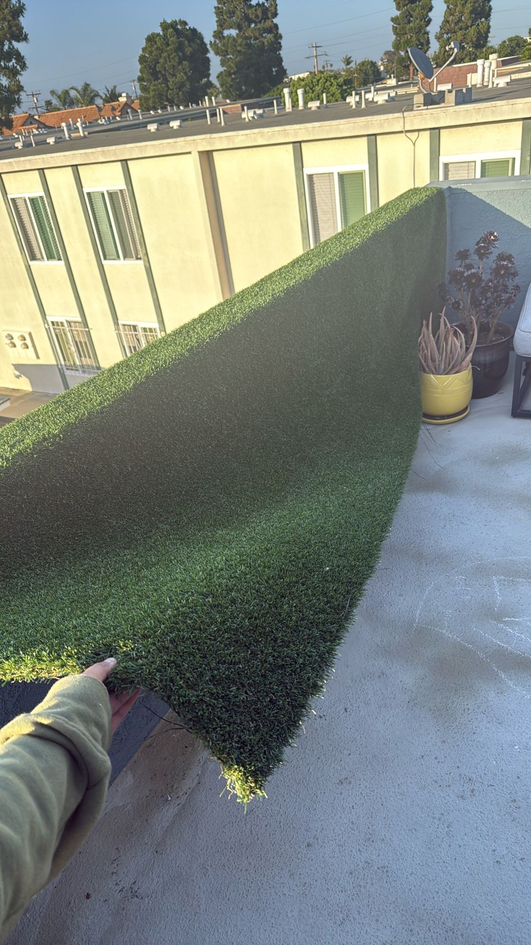 Turf 