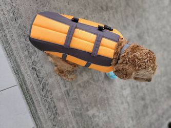 Dog life jaket
