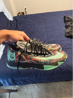 kd 6