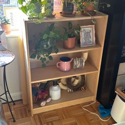 IKEA BILLY BOOKCASE BIRCH EFFECT COLOR