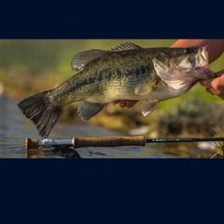 $100 For BASS FISHING For $100