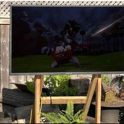 Peerless TV 55" $400