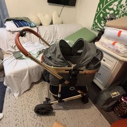 Dog Stroller 
