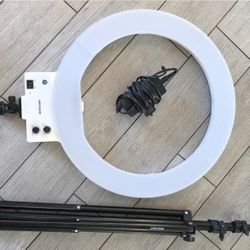 LED Ring Light 19" with Stand – Neewer