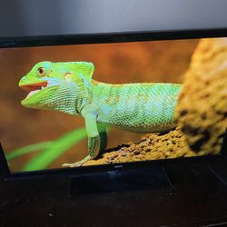 45 Inch Flatscreen HDTV