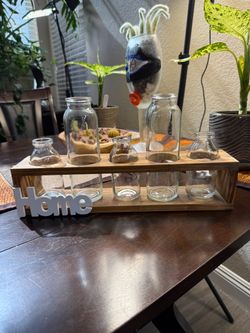 Plant Propagation Terrarium Hydroponic Wooden Holder