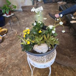 12in Succulent Pot With Four Blooming Kalonchoe Plants With Succulents And Ceramic Rabbit 