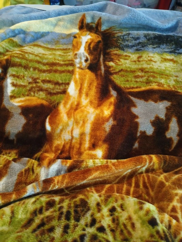 Fleece Blanket for A Twin Bed