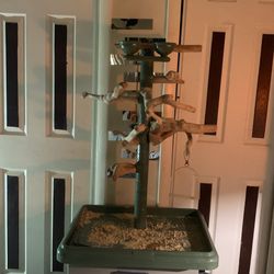 Bird 🦜 Post W/ Food & Water Dish Attached 