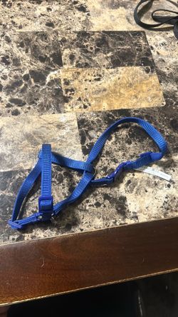 navy blue kitten harness