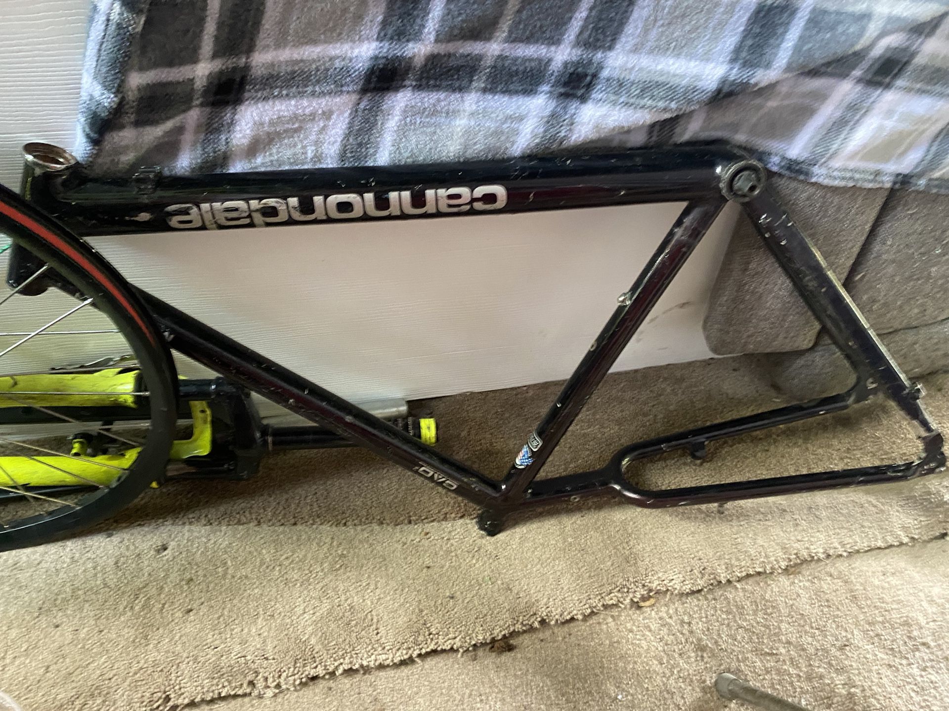 cannondale frame and electric bike motor rim