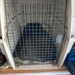 Travel Aire Large Dog Kennel 