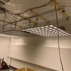 LED Grow Lights 