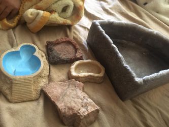 Feeding bowls for reptiles