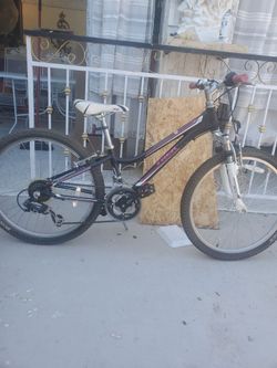 24" Mountain Bike trek