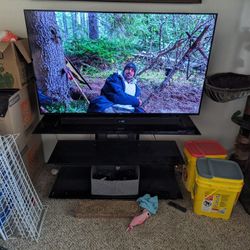 55" TV And TV Stand 
