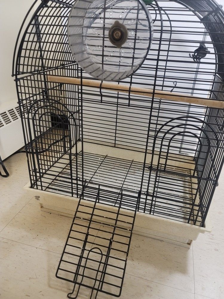 Bird Cage 