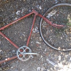 Bicycle