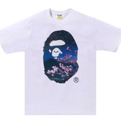 Bape Sakura SS24