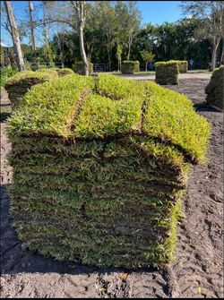 🌱 Fresh Sod for Sale – Delivery & Installation Available
