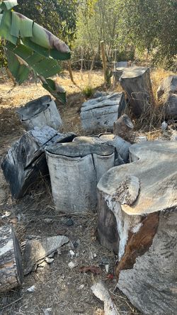 Free Wood