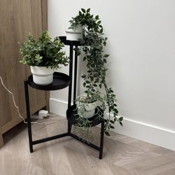 Plant Holder 