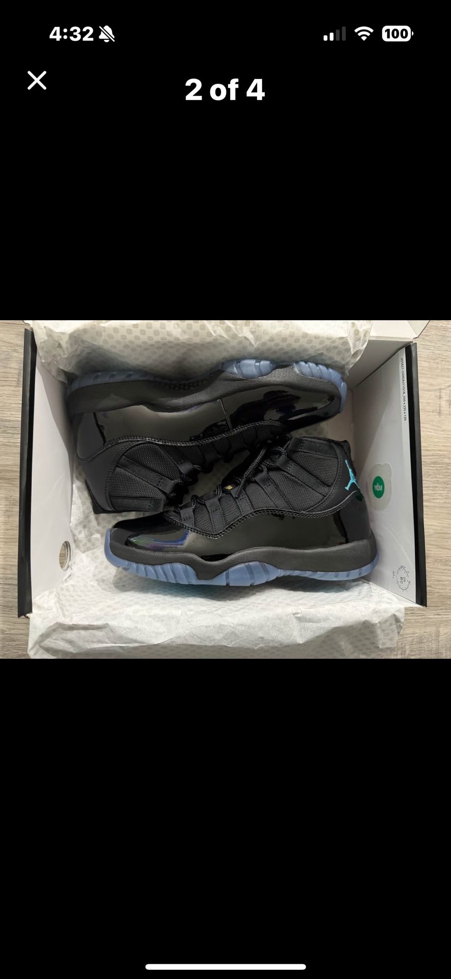 Jordan Retro Gammas11