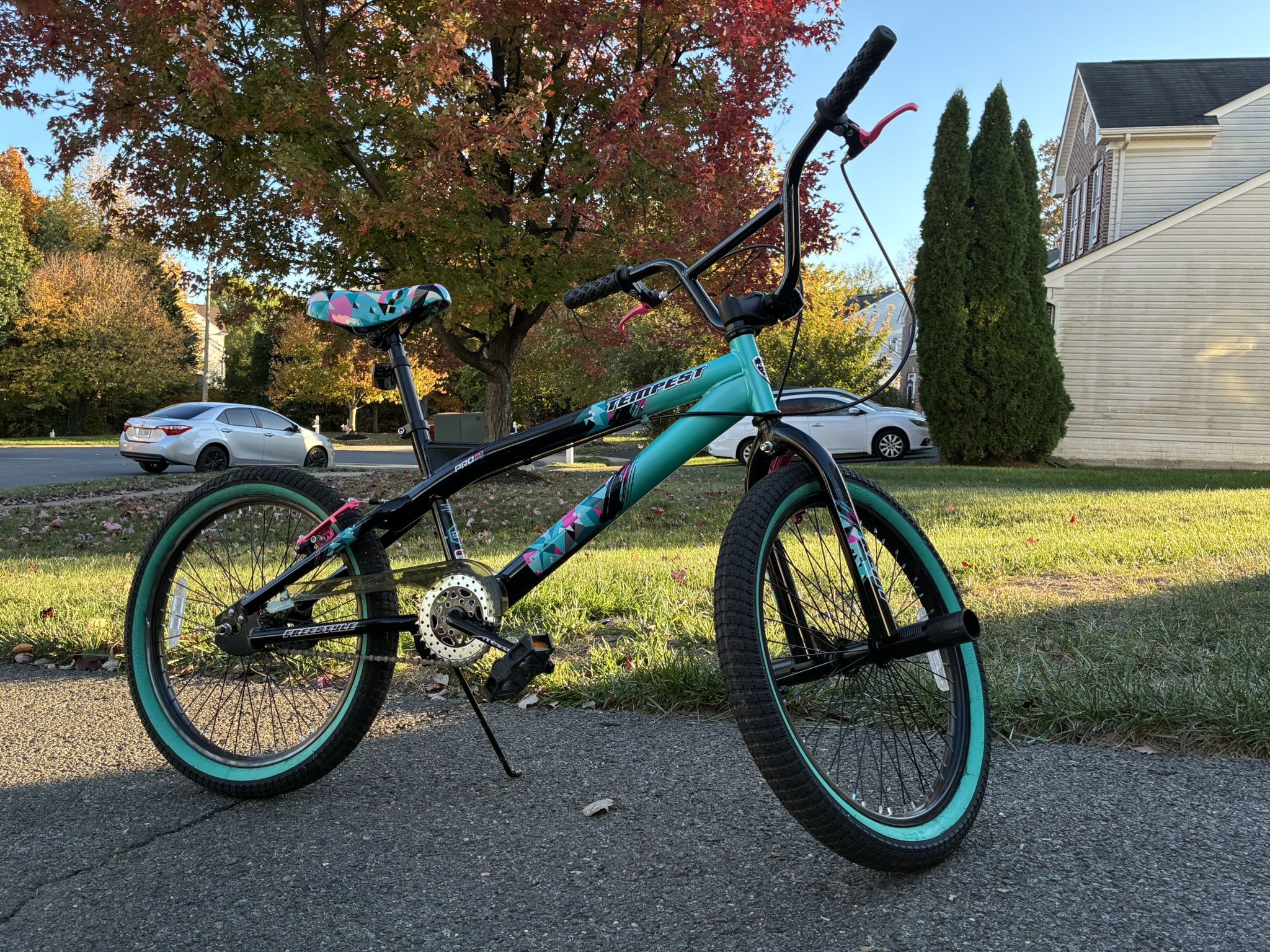 Girls Bike, 20 Inch